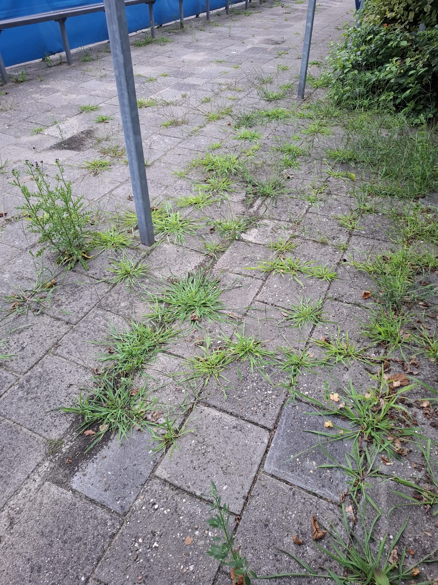 Onderhoudsdag: nogal wiedes…