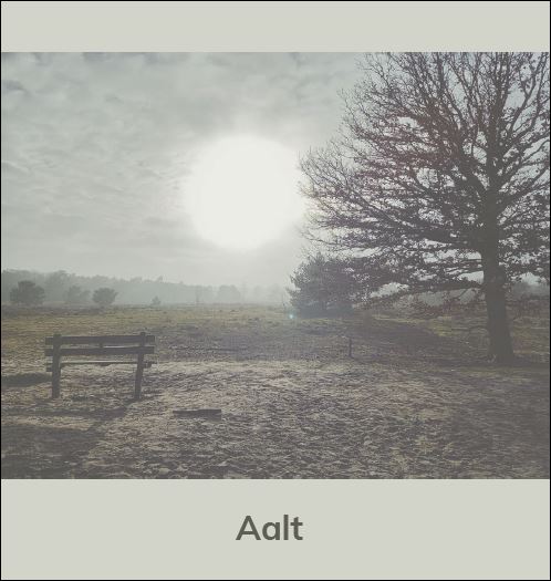 In Memoriam   Aalt de Weerd (1960 – 2024)